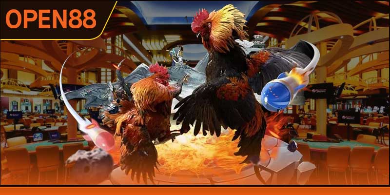 Thế mạnh mà đá gà OPEN88 tự tin chinh phục hội viên